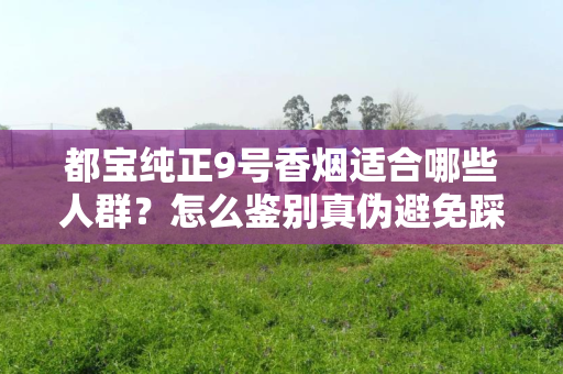 都宝纯正9号香烟适合哪些人群？怎么鉴别真伪避免踩坑？